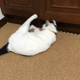 クローゼット侵入の画像