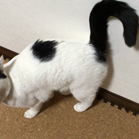 私の指が邪魔の画像