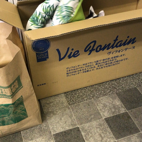 なんかしてるの画像