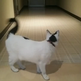 社長撮影の画像