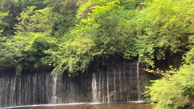 母方長男・長女いとこ会の旅行の記事動画