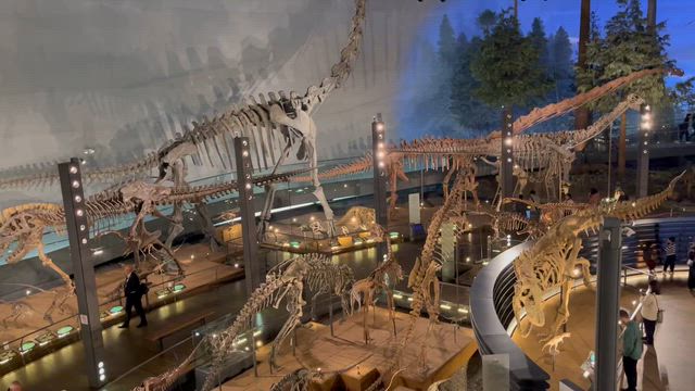 北陸旅行〜２日目の記事動画