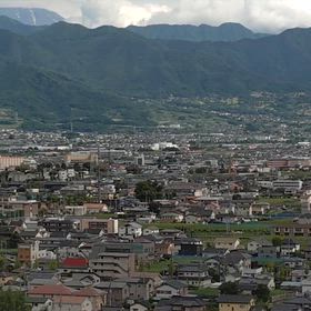 むし虫蒸し無視の画像