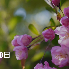 ”連休” 2019年の画像
