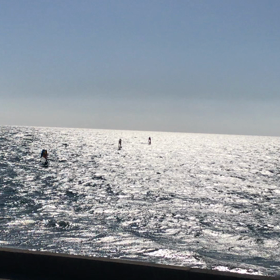もうそこまで夏が見えてるよの画像