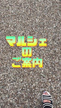 マルシェ開催しますの記事動画