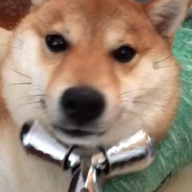 おめでとうの画像