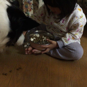 何故こんなことに。。。Σ（ﾟдﾟlll）の画像