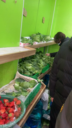 封鎖準備: お野菜探しの記事動画