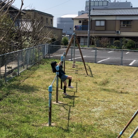 鉄棒ーの画像