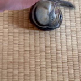 仕事に行かなアカンねん！！の画像