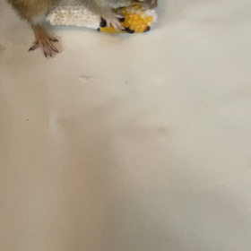 ちょっと時間があいた。の画像
