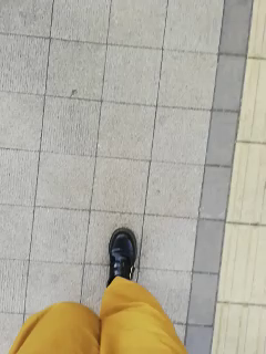 展示会の記事動画