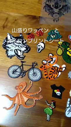 ワッペンの記事動画