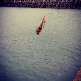秋とゆうかもうすぐ冬の画像