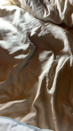 Right +桜って何月からだっけ？の記事動画