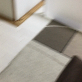 今日のこたろうの画像