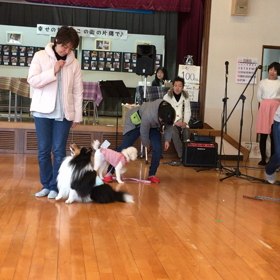 譲渡会の画像