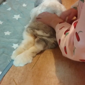 ふわふわまったりの画像