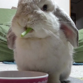 ただただの画像