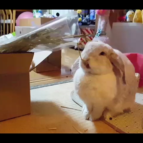一瞬での画像