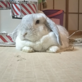 まったり〜のはずが…の画像