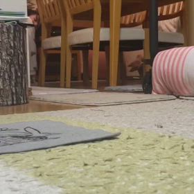 みんなでぐるぐるの画像