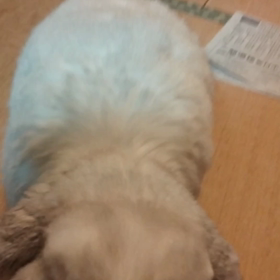 いただきますの画像