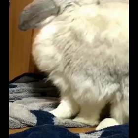 貴重なうたっち〜の画像