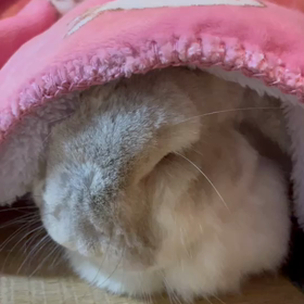 おふとんの画像
