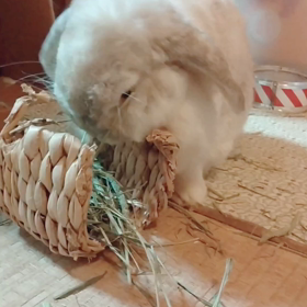 破壊作業中の画像