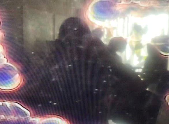 ソマチッドを見てきました。の記事動画