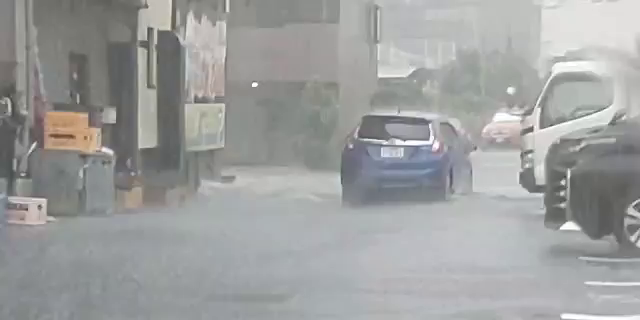 ゲリラ豪雨　道しるべがいたらどんなに安心できるでしょうか。の記事動画