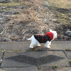 歩こう！の画像