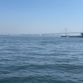 ✿˘︶˘✿ ).｡.:* ♬*゜の画像