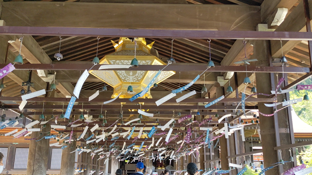 田原俊彦ライブツアー2022【京都】Vol.3の記事動画