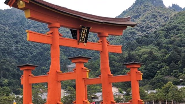 Double T Tour 2024 広島公演の記事動画