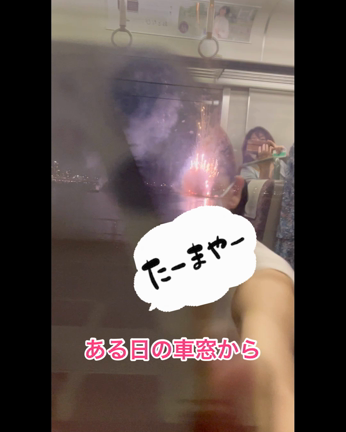 ボーダーと『たーまやー♪』の記事動画