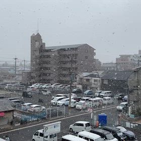 雪の画像