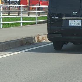 一緒に行くの無理でしたの画像