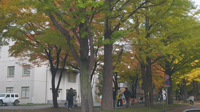 色づきましての記事動画