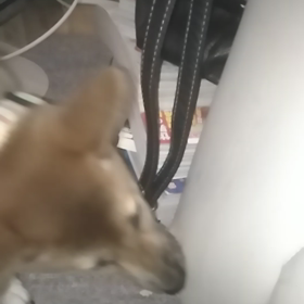 ぼろぼろの画像