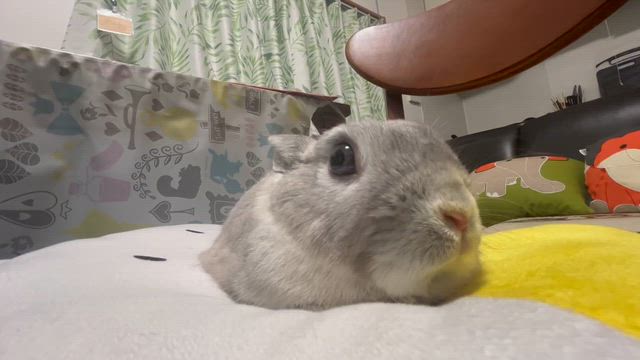 スタッフに善悪がわからない方が・・・の記事動画