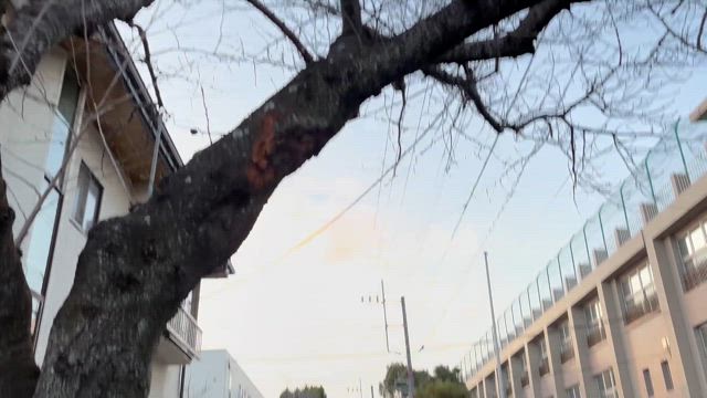 2025年もよろしくお願いしますの記事動画