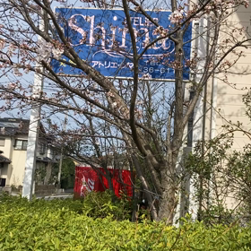 2022/03/30の画像