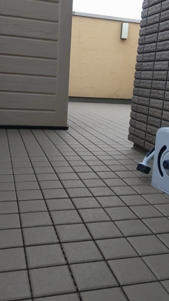 走るベルリの記事動画
