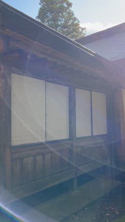 初めましての神社さんで大歓迎してもろた♪の記事動画