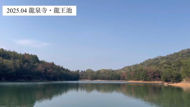 欲しい【氣】を頂きに♪の記事動画