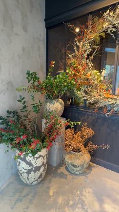 bois de gui（ボワドゥギ）高輪店♪＊リースを買いに行きました＊ゾーガンキンスカルプ♡の記事動画