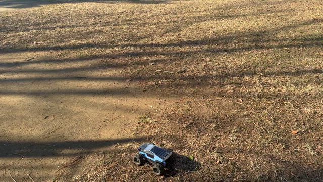 ビオラレディの寄せ植え♪＊日照不足にはX-エナジー？＊猫の歯の治療費が高額でビックリ・・の記事動画